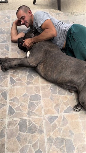 Dnevna doza valjanja po dvorištu, ne pere Irena već mašina 🙄