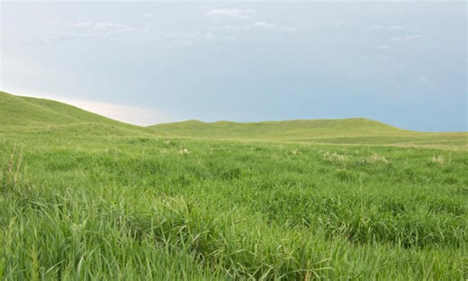 Teaching Tools about the Grasslands of The Great Plains  | Educators Toolkits | WWF