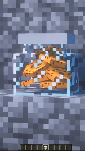 Cookies Jar Minecraft Adventure