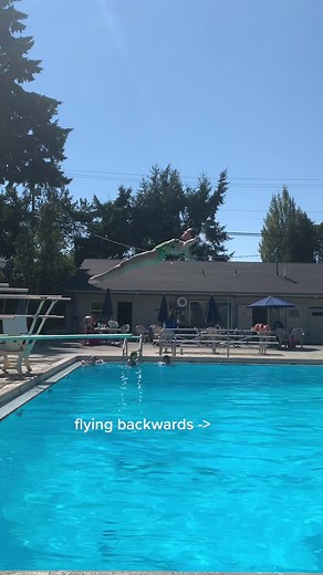 Springboard Diving Highlights: Back in Action!