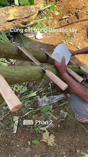 Lễ Cắt Trùng Tang Dân Tộc Tày: Phần 2