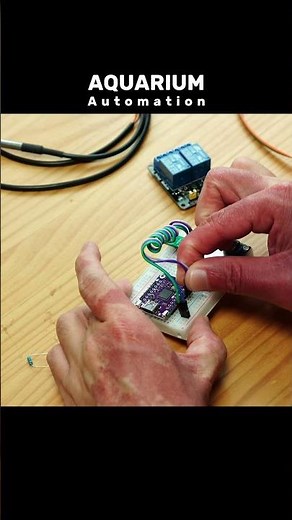 Arduino Project Aquarium Automation #arduino #aquarium #automation #beautifulfish