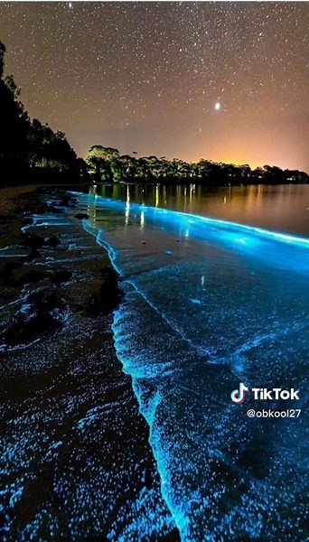 Bioluminescent Blue Tides at Jervis Bay, Australia