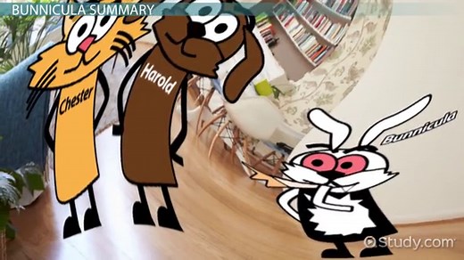 Bunnicula by James & Deborah Howe | Characters & Summary