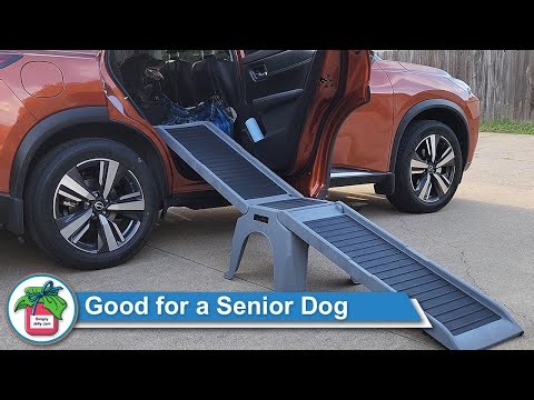 WeatherTech EasyRamp for a Senior Dog
