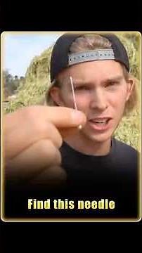 Finding a Needle in a Haystack#challenge #find #foryou #fyp