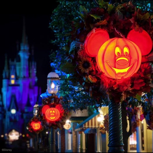 350K views | Mickey’s Not-So-Scary Halloween Party | Walt Disney World | Facebook