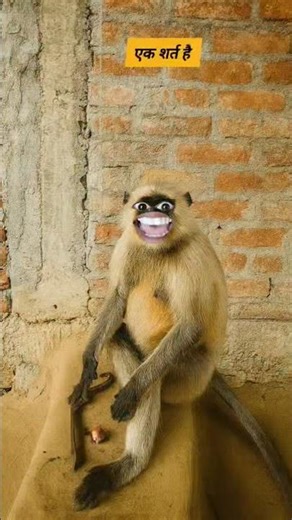 एक शर्त है #comedy #funny #thetharpuns #shilpisaroja