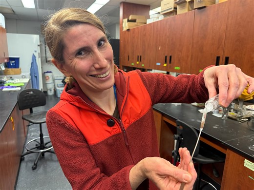 U of G professor accidentally created a slime that generates electricity