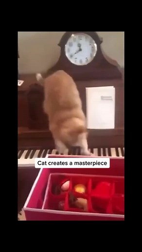 Cat Playing Piano: The Ultimate Keyboard Cat Meme Compilation