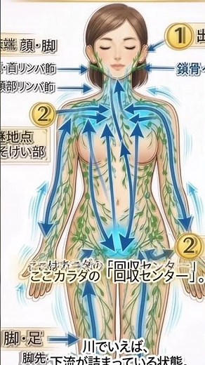 リンパは鎖骨（出口）のあとはどこへ行くの？#リンパ #鎖骨 #リンパ #むくみ #健康 #美容#アロマセラピスト