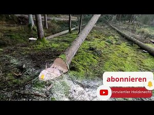 Soma FK 60 und Milwaukee Schlagschrauber 745 NM und 8 Ah Forge Akku