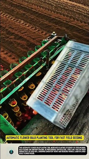Automatic flower bulb planting tool for fast field seeding #tool