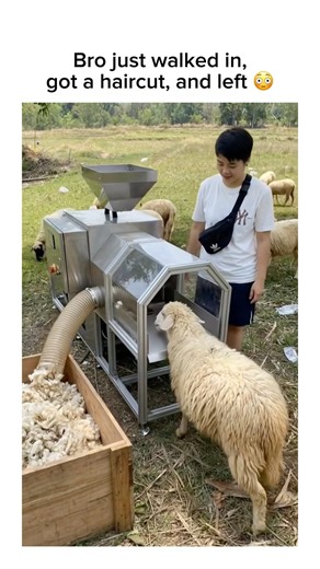 Bro just walked in, got a haircut, and left #shorts