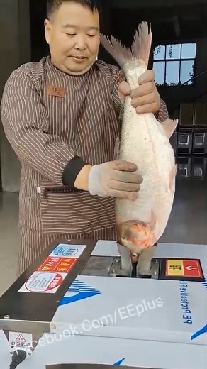 346K views · 83 reactions | Fish Cleaning Machine | Entertainment Plus+ | Facebook