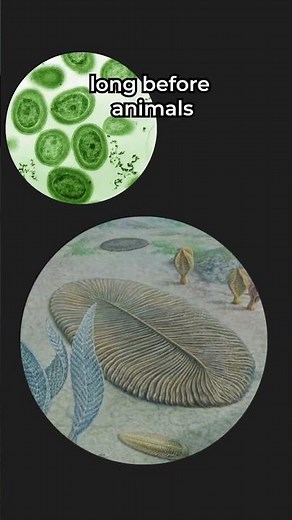 What If Alien Life Turns Out to be Plants! #shorts