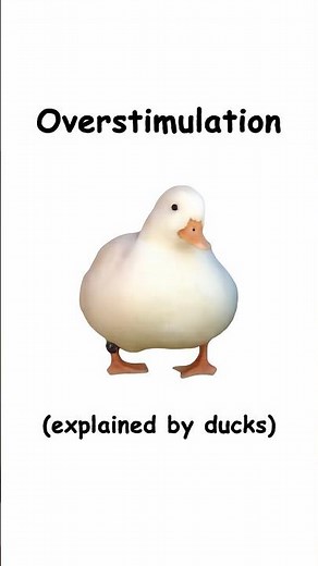 Overstimulation (explained by ducks)