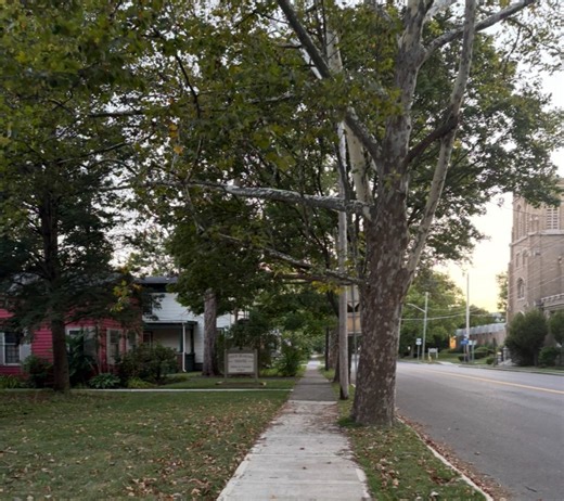 Elmira City Council approves updated street ordinance