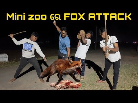MINI ZOO ରେ FOX ATTACK 😭 || ବିଲୁଆଙ୍କ ଆତଙ୍କରେ Emergency ରେ ଲାଗିଲା Light 💡||