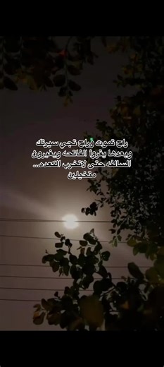 Enchanting Nighttime Moonlit Scenes