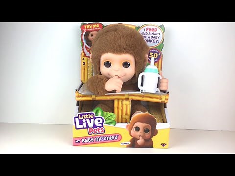 Little Live Pets My Pet Baby Monkey: Mango ✨ Unboxing & Review #littlelivepets