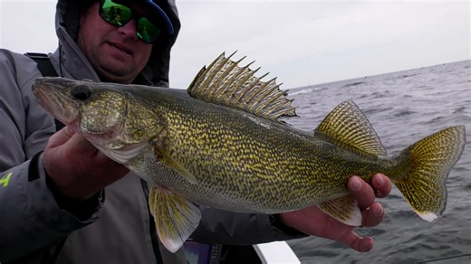 2.7K views · 33 reactions | Jason Mitchell and Green Bay guide Bret Alexander lean on some BIG Green Bay Walleyes and share some productive tips on how to use bucktail jigs for spring walleye. Watch the full episode: https://www.northlandtackle.com/hair-jig-walleyes-jason-mitchell/ | Northland Fishing Tackle | Facebook