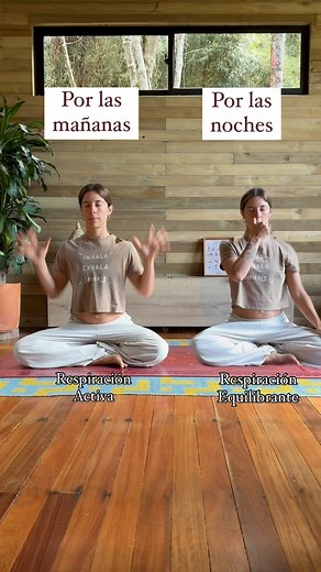 Te enseño a adaptar la práctica del yoga a tus dinámicas, tus capacidades y tu cuerpo en mi ÚLTIMO CURSO de YOGA PARA PRINCIPIANTES del año!!!! 🎉🥳🌸👏🏻❤️ En el link de mi perfil te registras! Últimos días de descuento!!! Empieza yoga conmigo, te aseguro tu vida se sentirá mejor ✨ #yoga #meditacion #principiantes #beginners #practica #practice #crossfit #ejercicio #fitness #insta #instareels #reel #tiktok #tiktokers #instadaily #tiktokdaily▪️ | Radhi Yoga