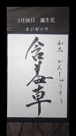 今日の誕生花 オジギソウ（含羞草） 命名書や記念の書など、大切な想いを書に託すお手伝いもしています🖌️ ご縁がありましたら、DMにて。 #誕生花 #花 #含羞草 #書道 #粋彩