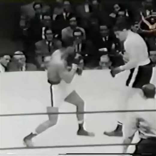 Rex Layne showed pure grit in New York, 1951. Dropped early by the explosive Bob Satterfield, Layne steadied himself, walked through the fire, and turned the fight around in brutal fashion stopping Satterfield by TKO in round 8. A classic heavyweight swing fight of the era: momentum shifts, raw toughness, and a reminder of how unforgiving the division was in the early 1950s. #Boxing #BoxingHistory #Heavyweight #ClassicBoxing #1950sBoxing #RexLayne #BobSatterfield #TKO #OldSchoolBoxing | BTR Boxi