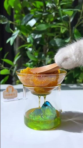 Wow! Cat Trying Frozen Honey! Honey Jelly! 🍯 | ASMR Dessert Recipe | Chef Cat Cooking #Shorts