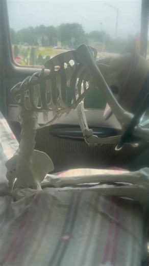 19K views · 330 reactions | 1958 Chrysler found with Drive STILL INSIDE!! Drive Thru Museum Seale Alabama! | Adventures Into History | Facebook