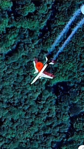 ✈️ Plane Caught on Google Map While Flying 🌍🌎🌏 #googlemaps #plane #mistery