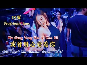 DJ版 - 我曾用心爱着你 - Wo Ceng Yong Xin Ai Zhe Ni - 潘美辰 - ProgHouse Rmx #dj抖音版