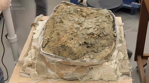 18K views · 416 reactions | To celebrate British Science Week, we're...