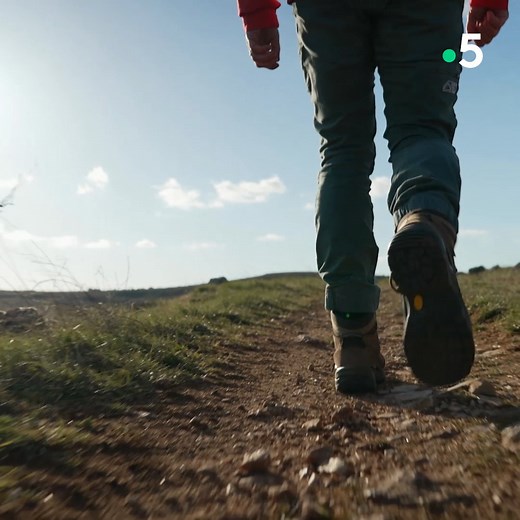 Les Echappées Belles d'Ismaël dans les Cévennes commencent dans la convivialité comme vous pouvez le voir dans la vidéo... la solidarité est une valeur de cette région et cette première rencontre impromptue en est un bel exemple ! Bienvenu à Florac dans le Parc National des Cévennes. Cette émission inédite sera diffusée samedi soir sur France 5. Ismaël Khelifa Damien Pourageaux Jean-marc Chauvet Bo Travail | Echappées Belles