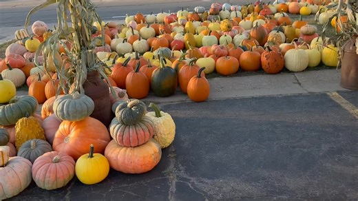 1.7K views · 20 reactions | Glen's Army Navy Store on Reels | Facebook