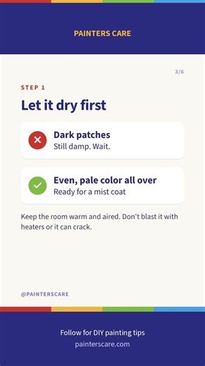 Don't put normal paint on new plaster (do this instead) #shorts