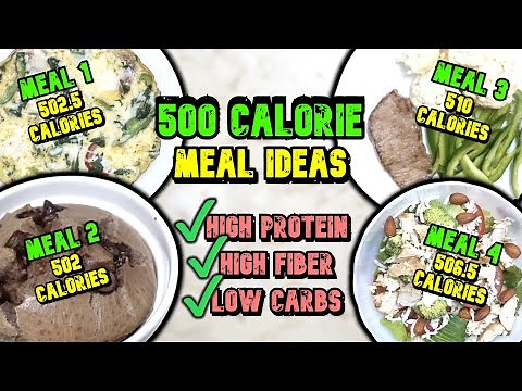 500 Calorie Meal Ideas // How To Eat HEALTHY 500 Calories In A Meal