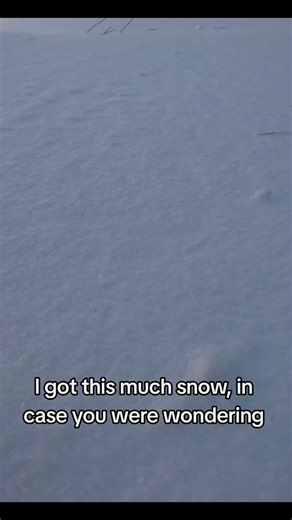 How to Remove Permanent Marker with Simple Tips