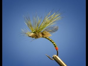 Fripple, Green Drake version - by Curtis Fry