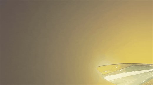 26 reactions · 5 comments | The Department of Education Regional...