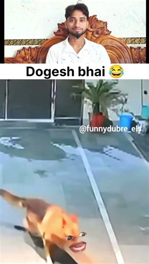 Dogesh bhai ? #😂🥰 ❤𝐋𝐢𝐤𝐞 𝐂𝐨𝐦𝐦𝐞𝐧𝐭💬♦️𝐒𝐡𝐚𝐫𝐞⚡✌️𝐌𝐞𝐧𝐭𝐢𝐨𝐧 ?