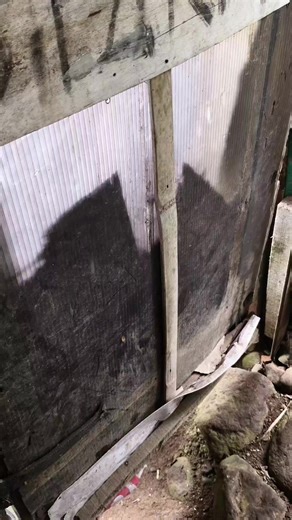 Teyong.. 😂🤣#tiktok #fypppppppp