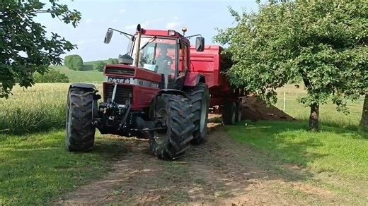 International Harvester 1455 XL Tracteur en Action