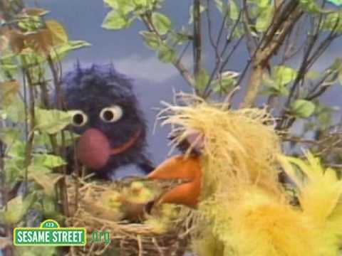 Sesame Street: Grover Finds A Bird's Nest