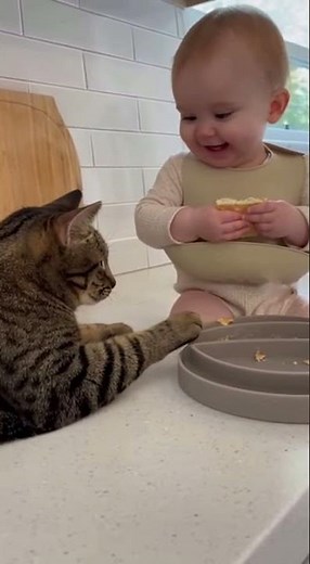 She shared her snack, and gained a furry friend 🥰🐾