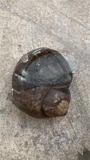 DIY Scrap Aluminum Snail Shell 🐌 #shorts #viralvideo #recycling #viral