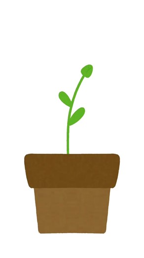 #花 #🌸 #flower #ゆるいアニメ #animation