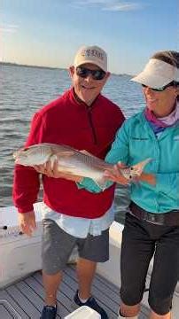 EPIC Redfish Fight in Shallow Water 🔥 Spring Mangrove Fishing with Live Bait