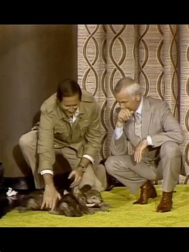 73K views · 2.3K reactions | Funny Animals Jim Fowler and Johnny Carson on The Tonight Show  | The Tonight Show Starring 2024 | Facebook